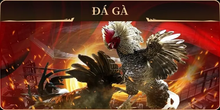 Mẹo Chơi Đá Gà GA28 Tại C54 Và Cách Đặt Cược Thông Minh